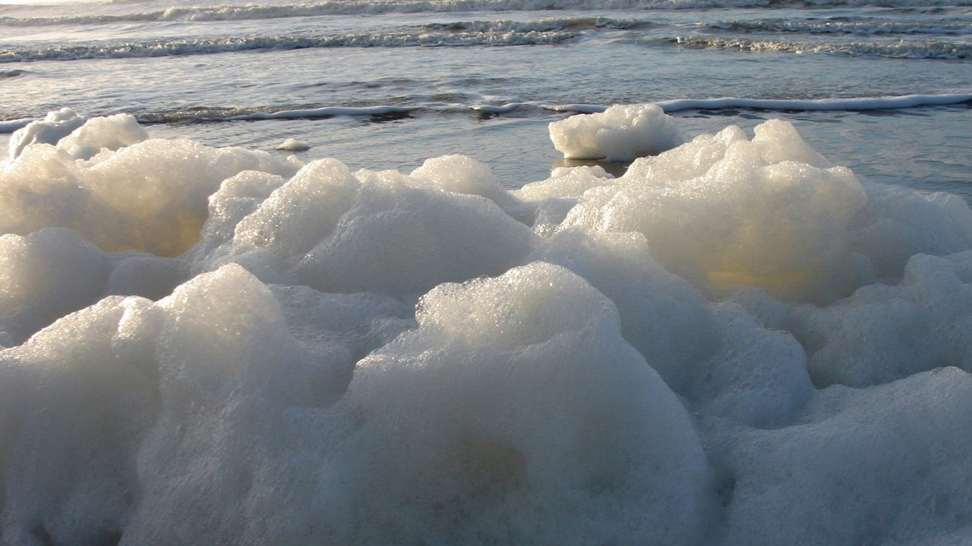Statenfracties bezorgd over PFAS in zeeschuim
