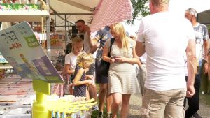 Druk bezochte 16e editie van Zomerdromen (video)