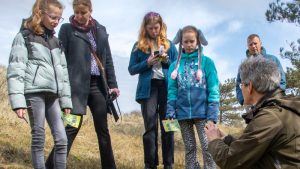 Hommels spotten en vogelsnacks maken
