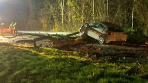 Auto zwaar beschadigd na botsing met boom