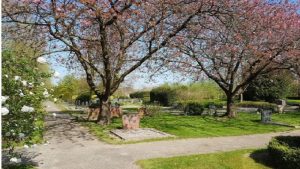 Metalen herdenkingsboom begraafplaats Middenmeer