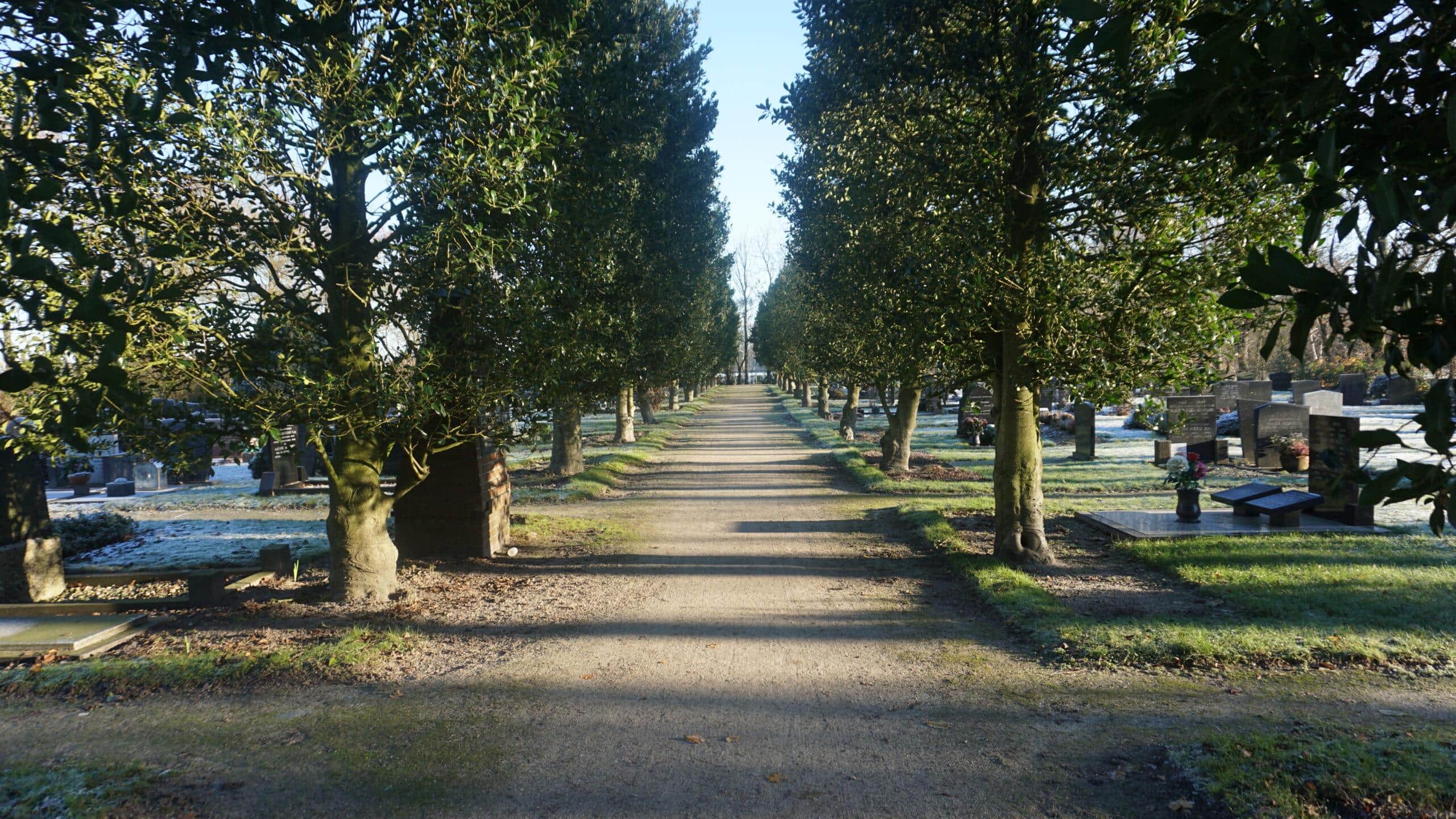 Cremeren, begraven, of toch iets anders? Hollands Kroon peilt behoeften