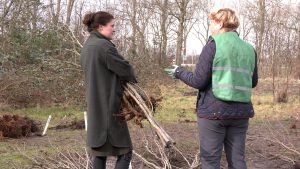 Inwoners Hollands Kroon halen gratis bomen op (video)