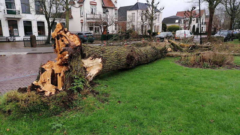 Storm Corrie laat sporen achter (Liveblog)