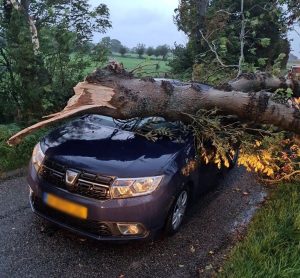 Verrotte boom valt op auto