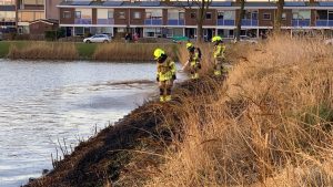 Winkelmedewerkers doen poging tot blussen bij rietbrand in Den Helder
