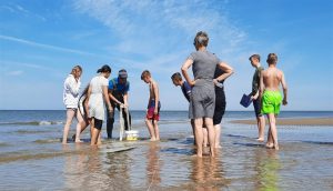 Scholen aan Zee krijgt predikaat Blue School