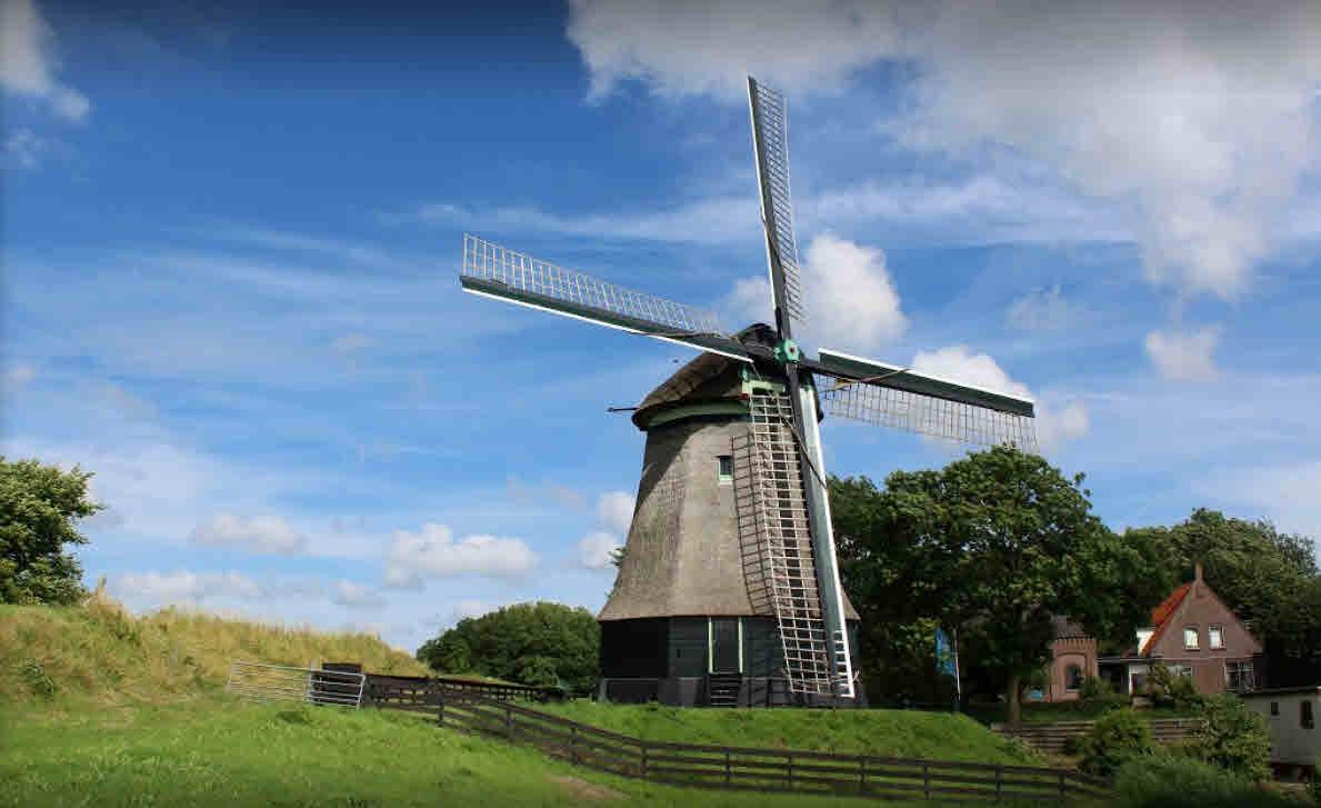 Molen de Hoop te Wieringerwaard krijgt nieuwe rietmantel