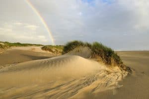 Winteravondwandeling door de Grafelijkheidsduinen