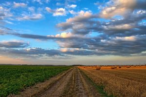 Provincie Noord-Holland helpt boeren met stikstofreductie en biodiversiteit