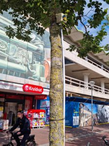 Sfeerverlichting Beatrixstraat moet ook anders