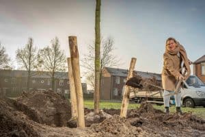 Helderse wethouder Bais plant eerste van 130 nieuwe bomen