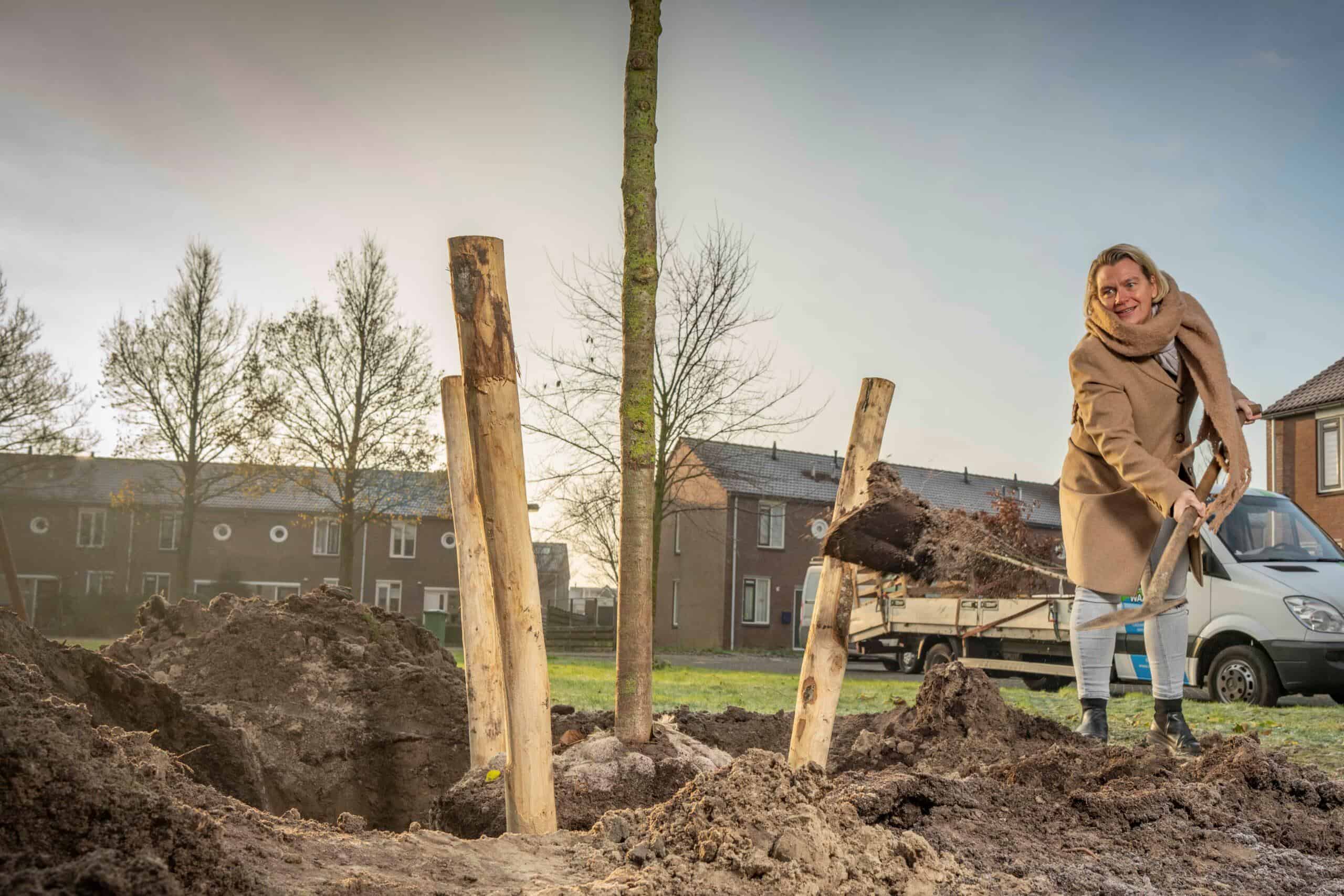 Helderse wethouder Bais plant eerste van 130 nieuwe bomen
