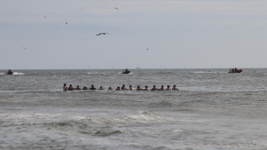 Zoekactie naar mogelijke drenkeling Noordzee