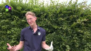 Jeugd Golfclub Dirkshorn in actie