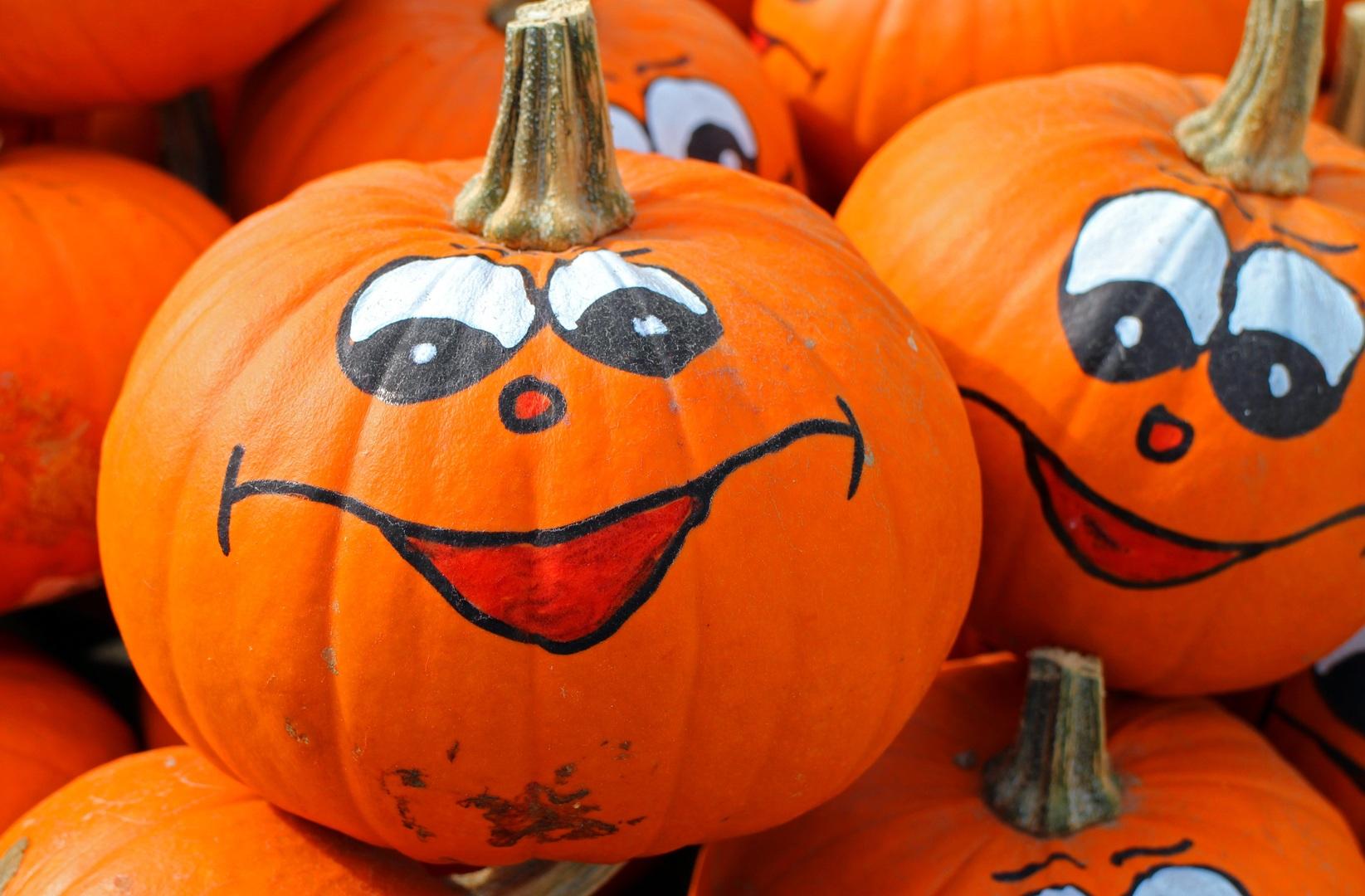 Happy Halloweenmarkt in Anna Paulowna