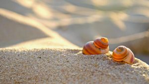 Warmste 1 juli ooit voor Den Helder (update)
