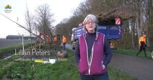 Hollands Kroon haalt doelstelling: Bijna 500 nieuwe bomen in 2022