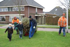 Overzicht locaties kerstbomeninzameling in Den Helder en Hollands Kroon
