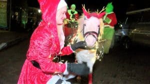 Kerstparade door Hippolytushoef (video)