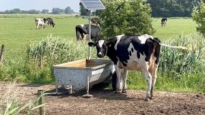Definitief geen landbouwakkoord, LTO Hollands Kroon reageert (video)