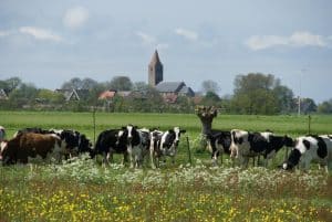 Steeds meer boerenpakketten met kerst