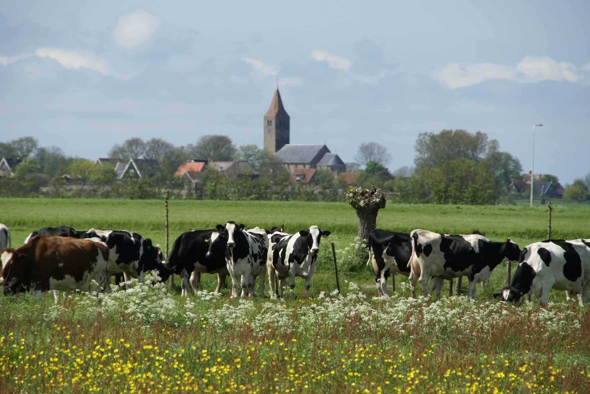 Steeds meer boerenpakketten met kerst