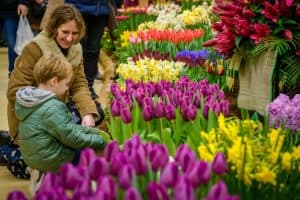 Lentetuin keert terug met vernieuwd concept