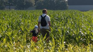 Video: Maisdoolhof opent weer in Wieringerwerf voor zomerplezier