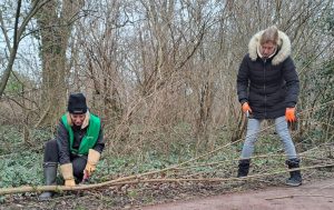 Laatste kans om bij te dragen aan de Meer Bomen Nu-campagne