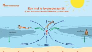 Gevaren van muien opnieuw zichtbaar