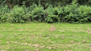 Onder invloed verkerende man ligt naakt in het gras