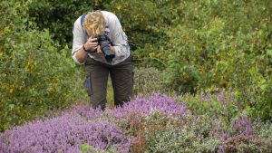 Fotografie-wandelexcursie in het Zwanenwater