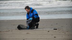 Wilde Dierenwacht opgericht op Texel