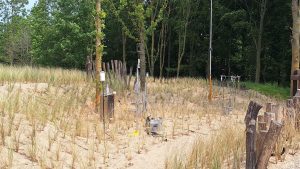 Hoenderdaell als proeftuin voor biodiversiteitsmeting via lucht