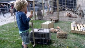 Video: Volop drukte bij open dag boerderij familie Huisman