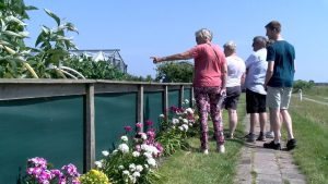 Video: Volkstuinders in Anna Paulowna vinden tuinieren het mooiste wat er is