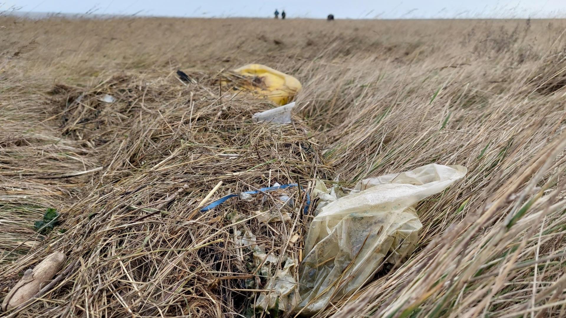 Opschoondag langs het wad op Wieringen