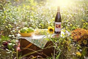 Mag niet: Picknicken op de vangrail langs de snelweg