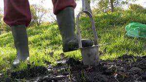 Dorpsvereniging Van Ewijcksluis zoekt hulp bij planten 500 bomen en struiken (video)