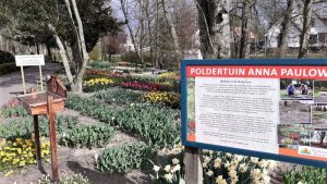 Klein Keukenhof weer in bloei
