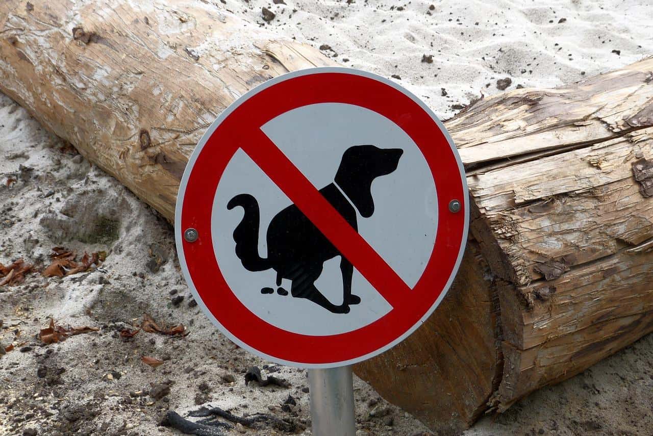 Den Helder koploper qua aantal hondenboetes