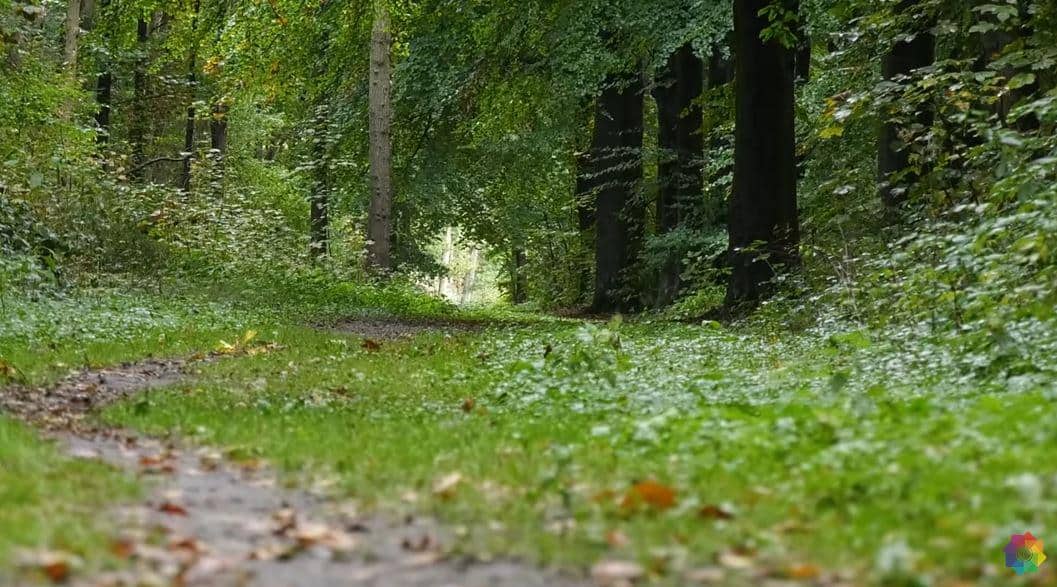 Komt het er dan toch? Provincie en Hollands Kroon in gesprek over aanplanten bos