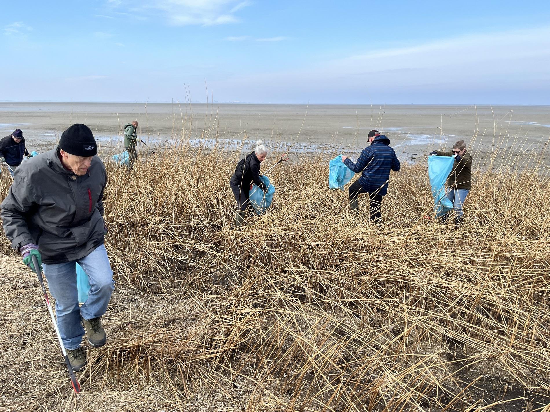 Video: Grote schoonmaakactie op Normerven achter Hippolytushoef