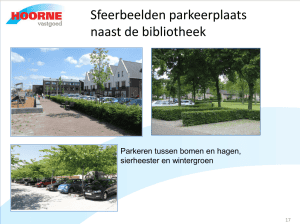 Waar blijft de beloofde groene parkeerplaats bij het winkelcentrum in Nieuwe Niedorp?
