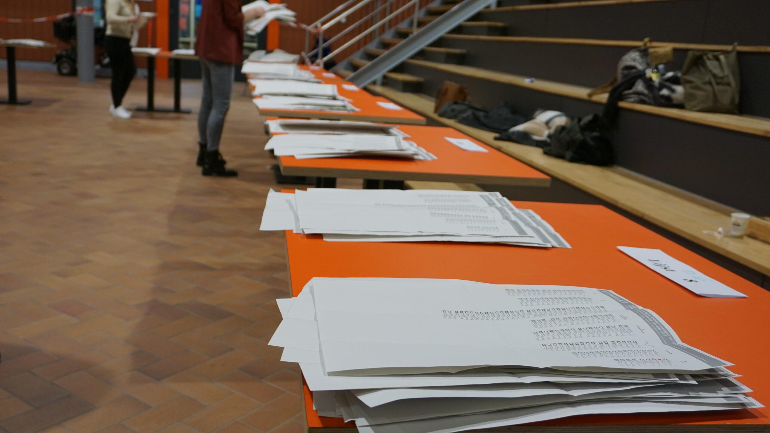 Europese verkiezingen: BBB groot in Hollands Kroon, PVV in Den Helder