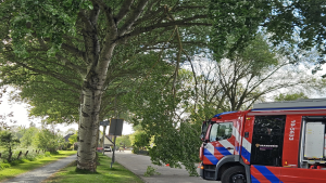 Brandweer voorkomt vallen tak op Dorpsstraat