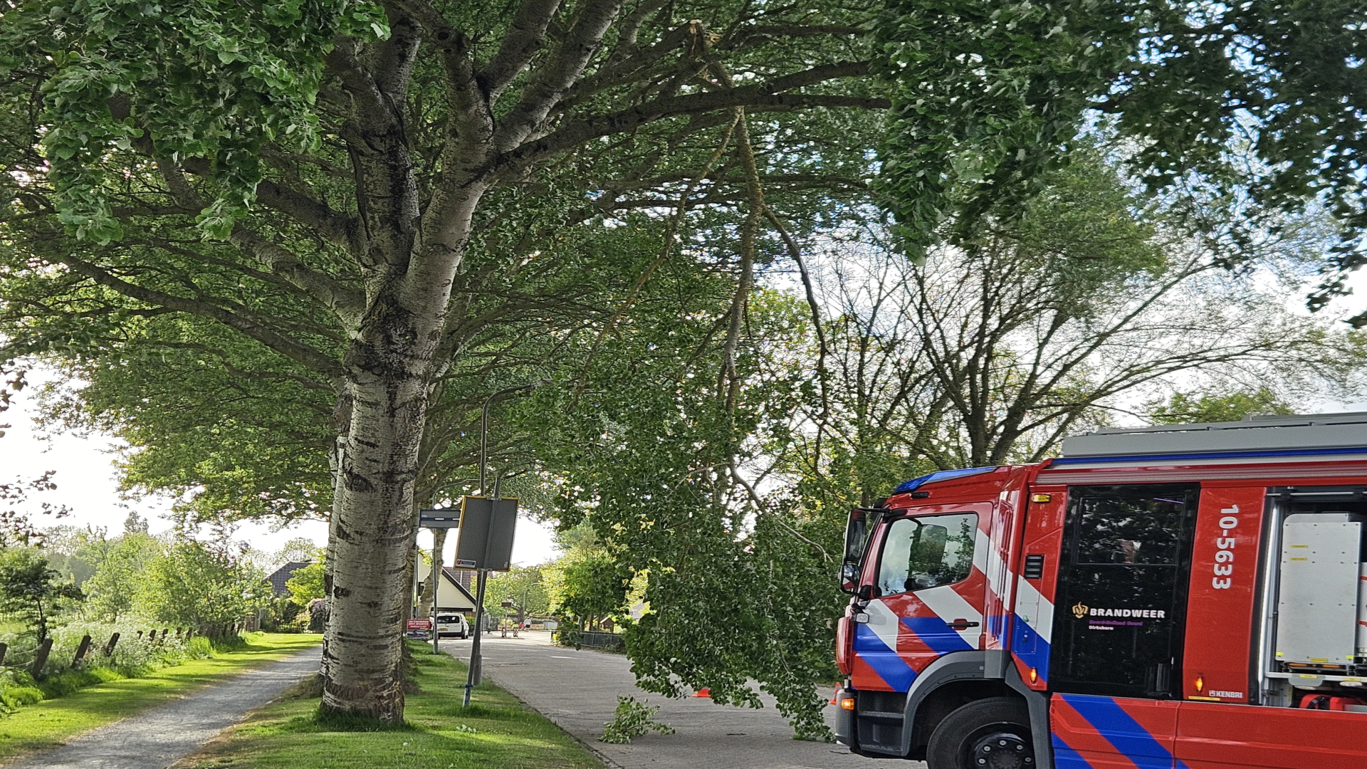 Brandweer voorkomt vallen tak op Dorpsstraat