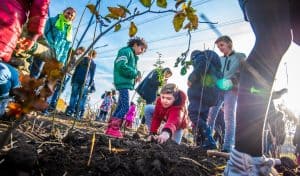 Kinderen planten vijfde Tiny Forest bij Spoorbuurtschool in Anna Paulowna