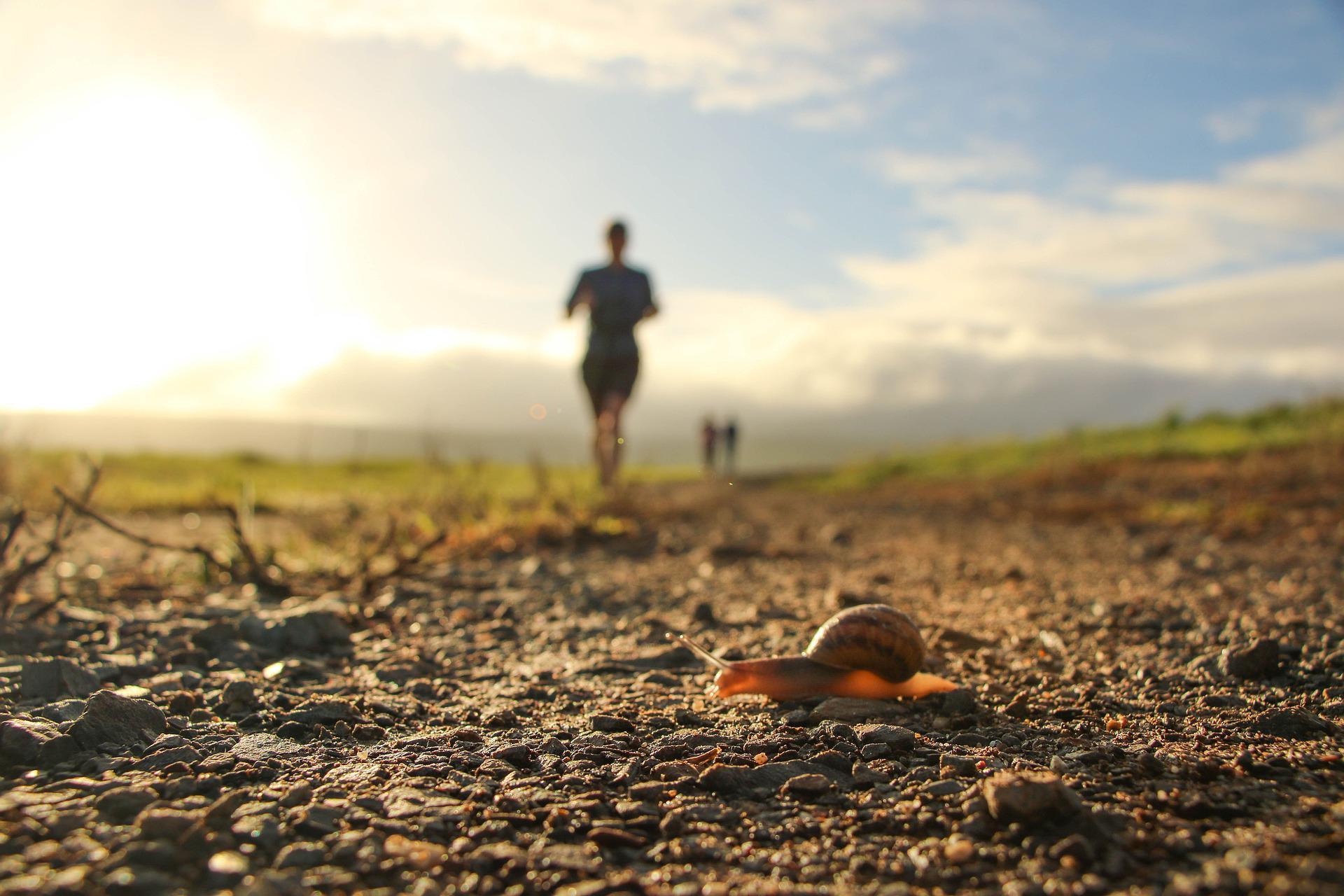 Trailrun vanaf De Helderse Vallei